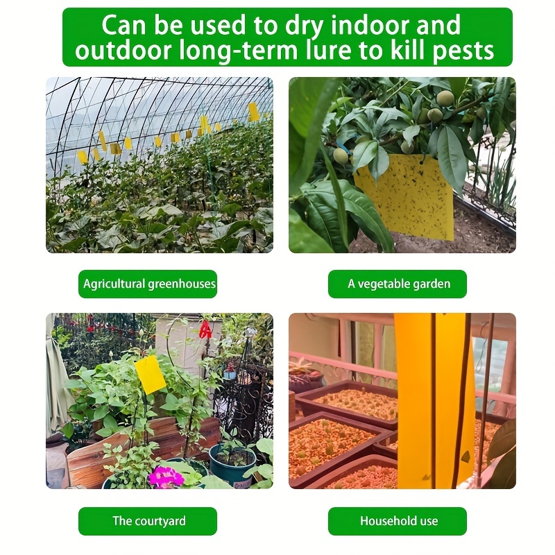 10pcs Yellow Double-sided Greenhouse Sticky Traps Bugs Sticky Board  Multiple Flying Insect Catching Control Sticker