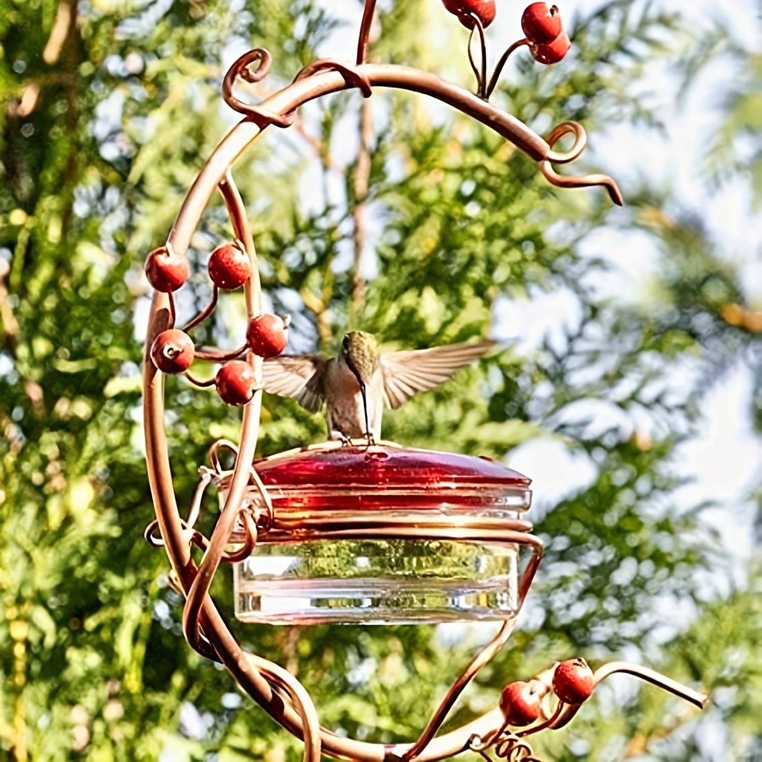 Budweiser Beer Bottle buying Easy Fill Bird Feeder