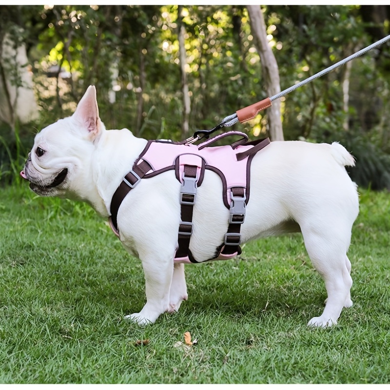 Dog Chest Strap Explosion proof Impact Pet Harness - Temu Canada