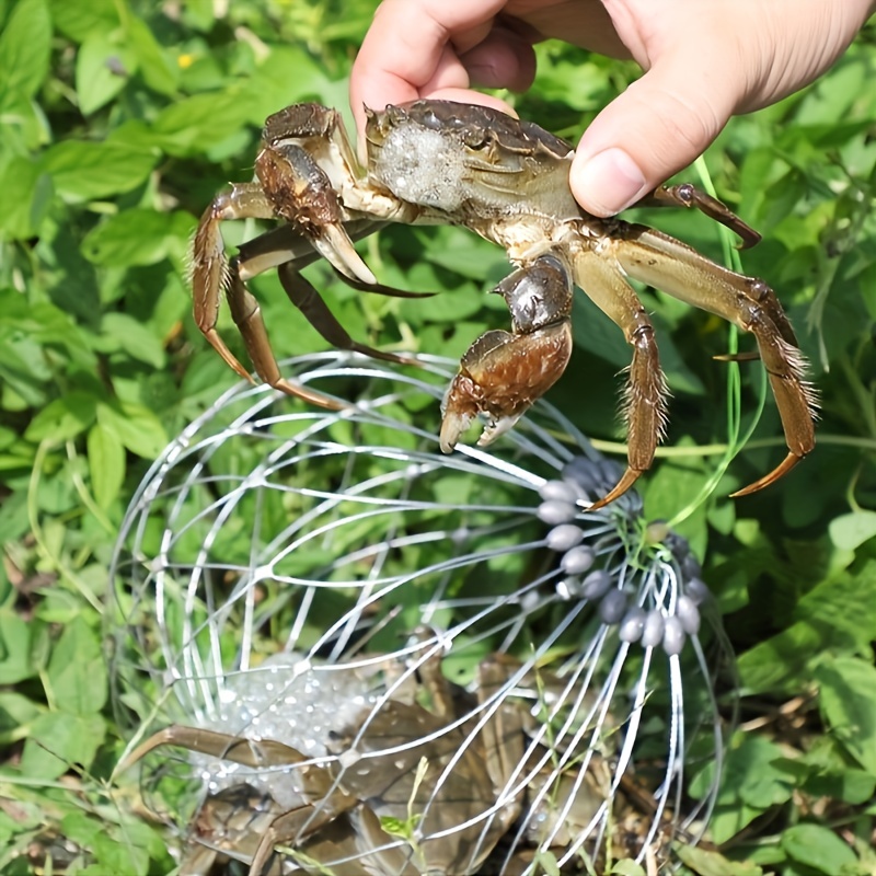 Crab Trap - Temu Canada