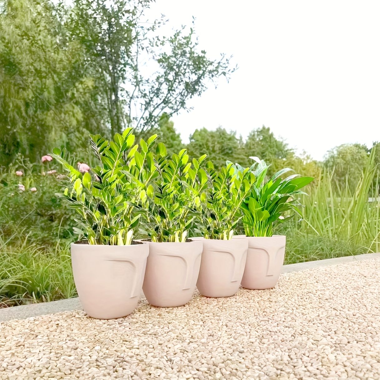 modern outdoor plant pots