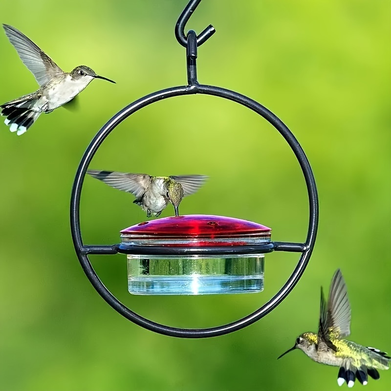 

1pc Hanging Hummingbird Feeder, Metal Bottle Humming Bird Feeder With Circular Metal Holder And Perch