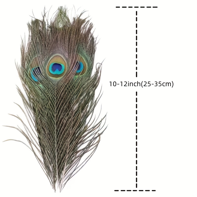 Natural Peacock Feathers Crafts Handwork Diy Party Plume - Temu