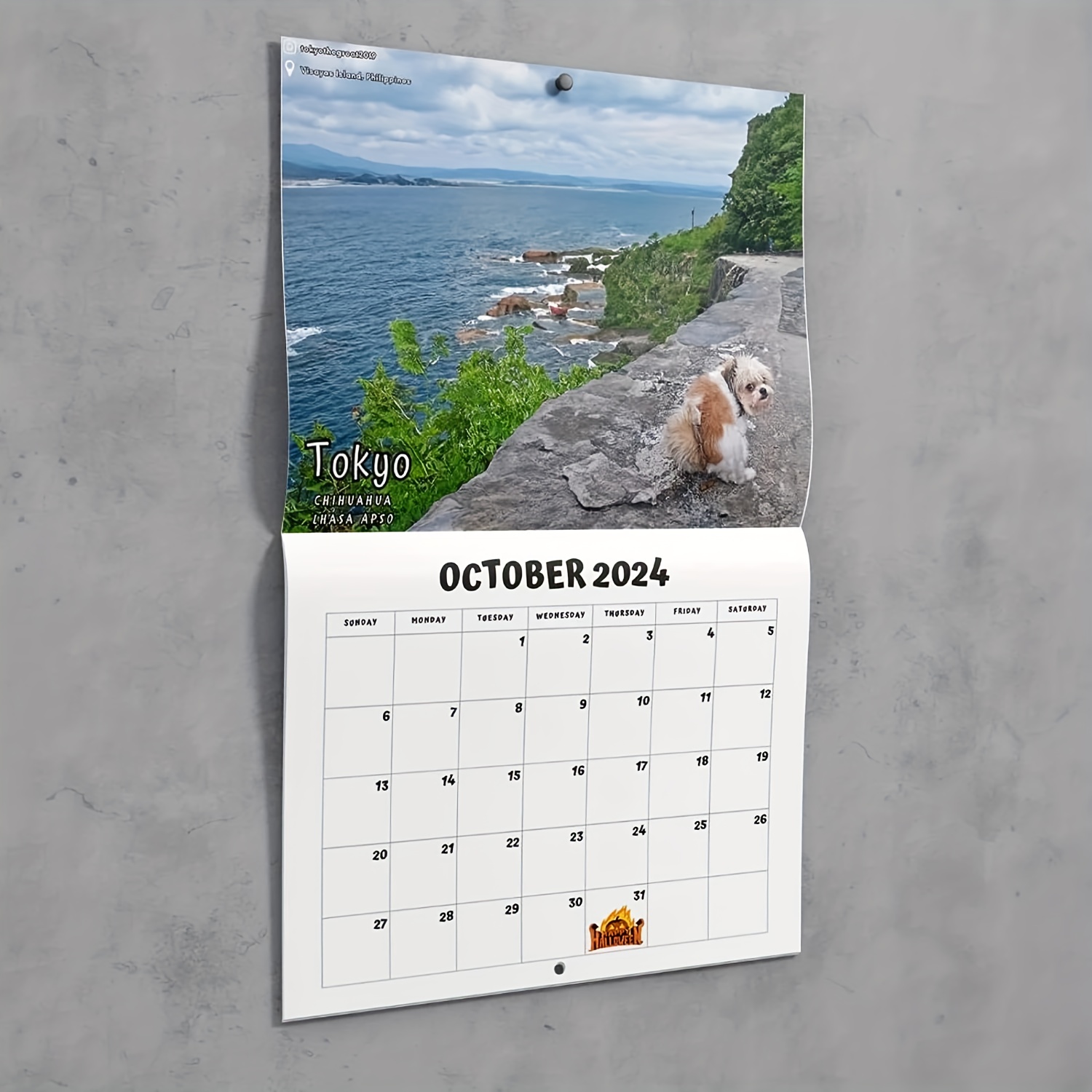 Chien Caca Calendrier 2024 :: Un joli calendrier mensuel de 12 mois | 12  Quotes d'Inspiration anti-stress à colorer | 12 photos drôles de chien qui