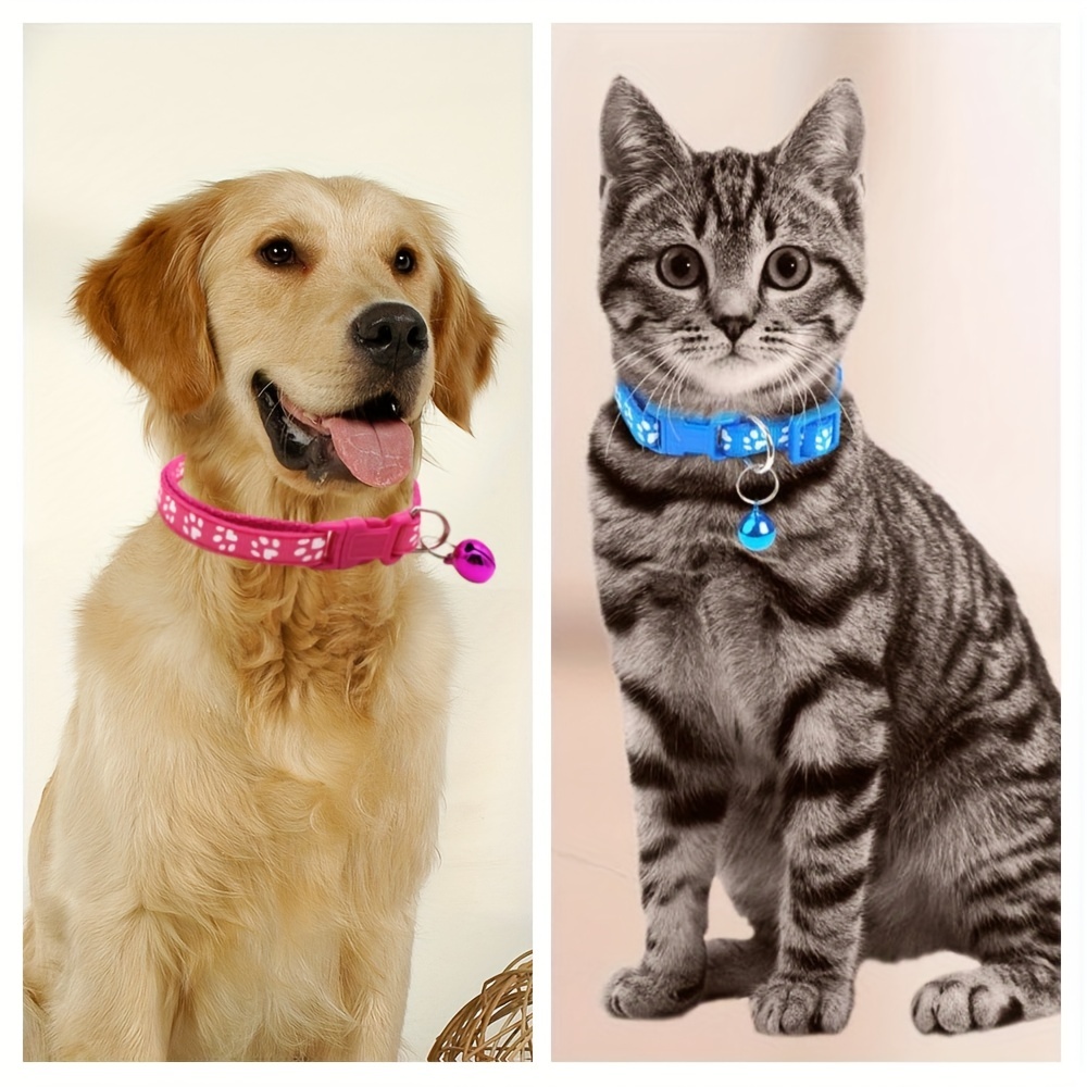 Funny cat outlet collars