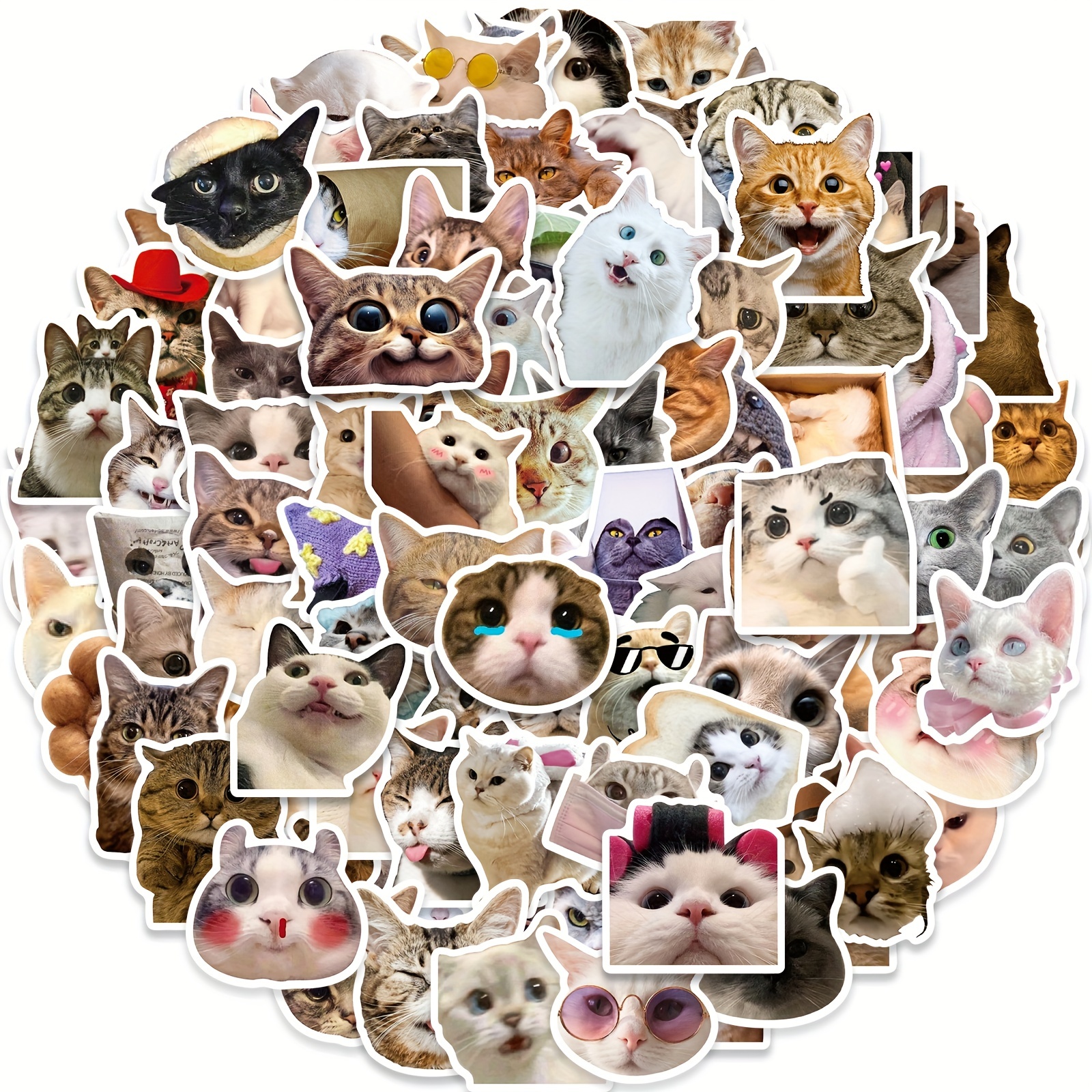 100pcs Cute Cat Stickers,Kawaii Funny Cat Meme Decals Vinyl Waterproof Stickers for Water Bottle Laptop Bumper Phone Guitar