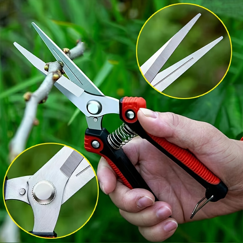 Sturdy Trimming Scissors For Garden Fruits And Grapes With - Temu