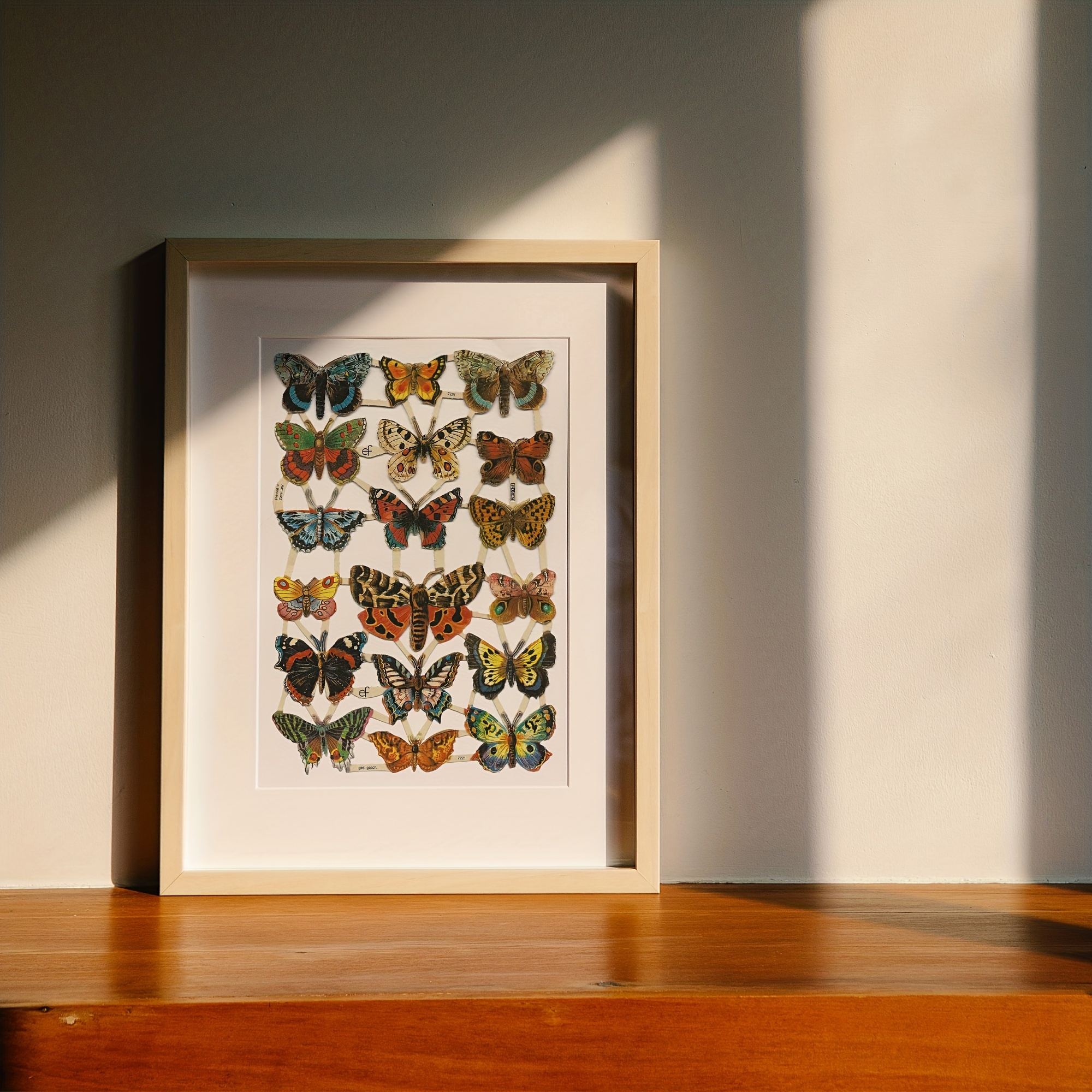 Beautiful Butterfly Species Canvas Prints For Home Decor - Temu