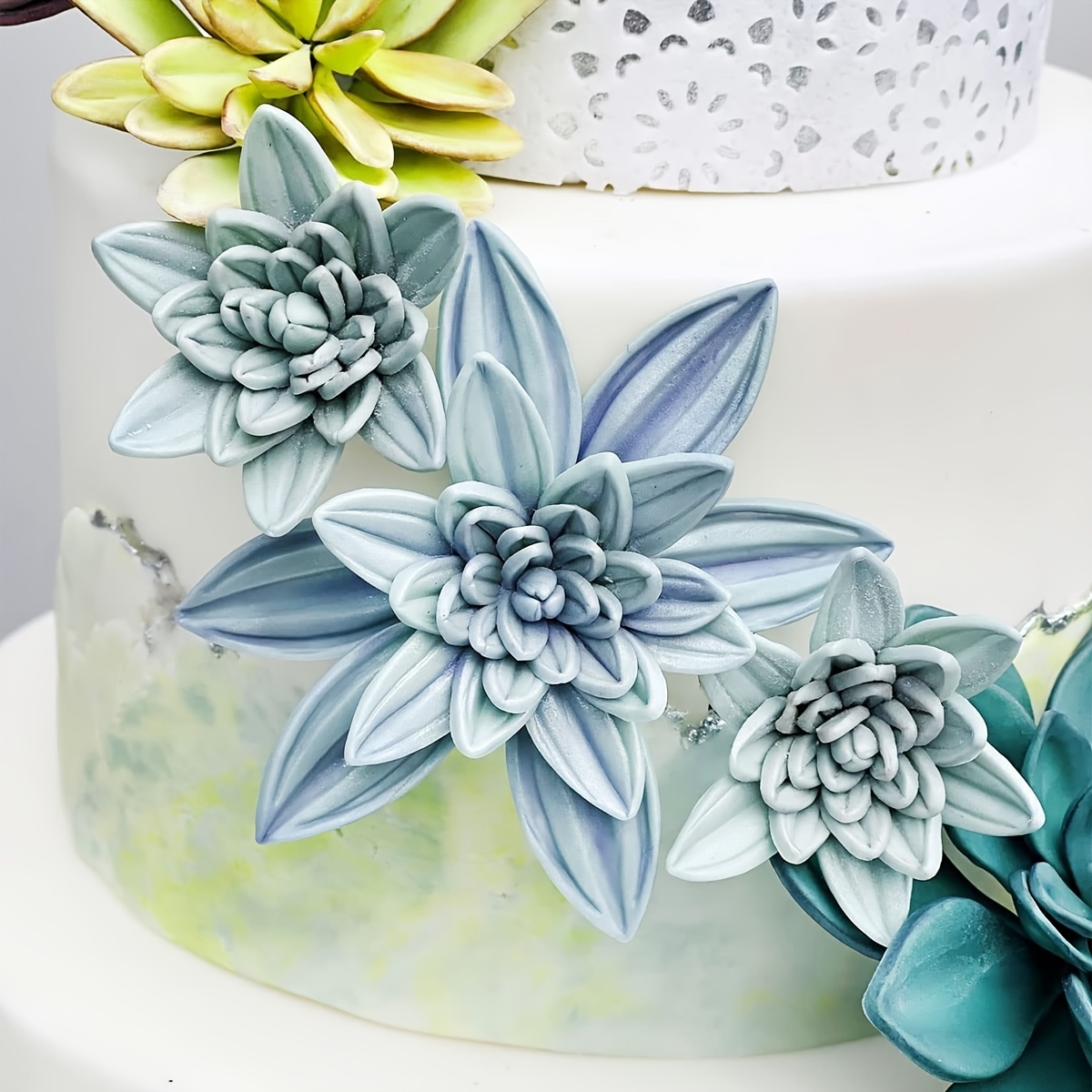Succulent Plant Cakes