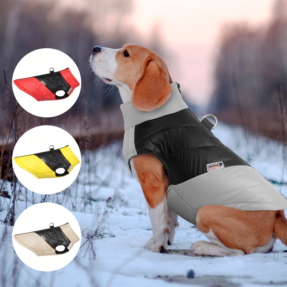 Beagle best sale winter coat