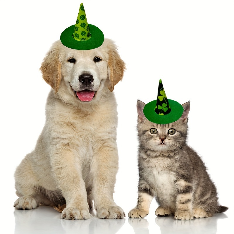 Dog wizard outlet hat