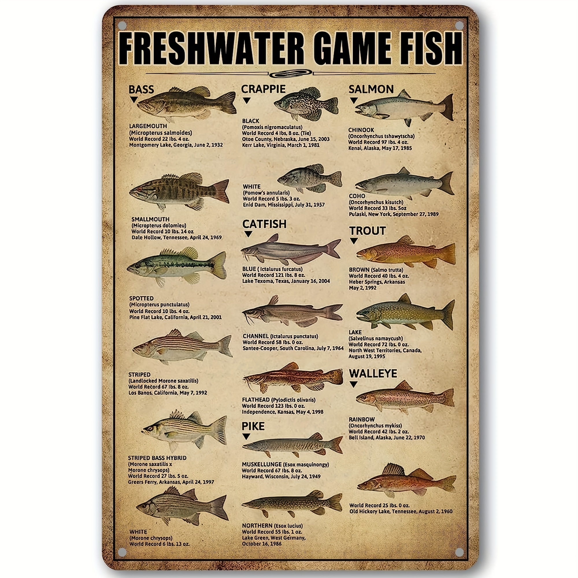 1pc, Freshwater Game Fish Tin Sign Vintage Fishing Wall Decor For Home Fish  Knowledge Metal Signs Rustic Cabin Hunting Decor For Boys Room Bedroom Bat