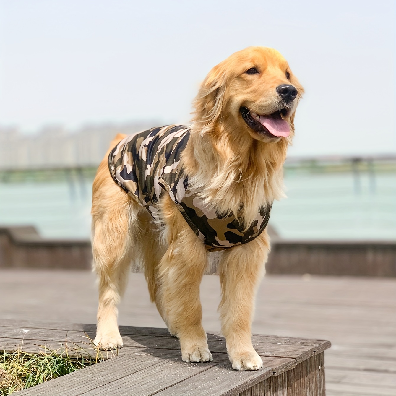 New York Yankees Dog Jersey - Camo