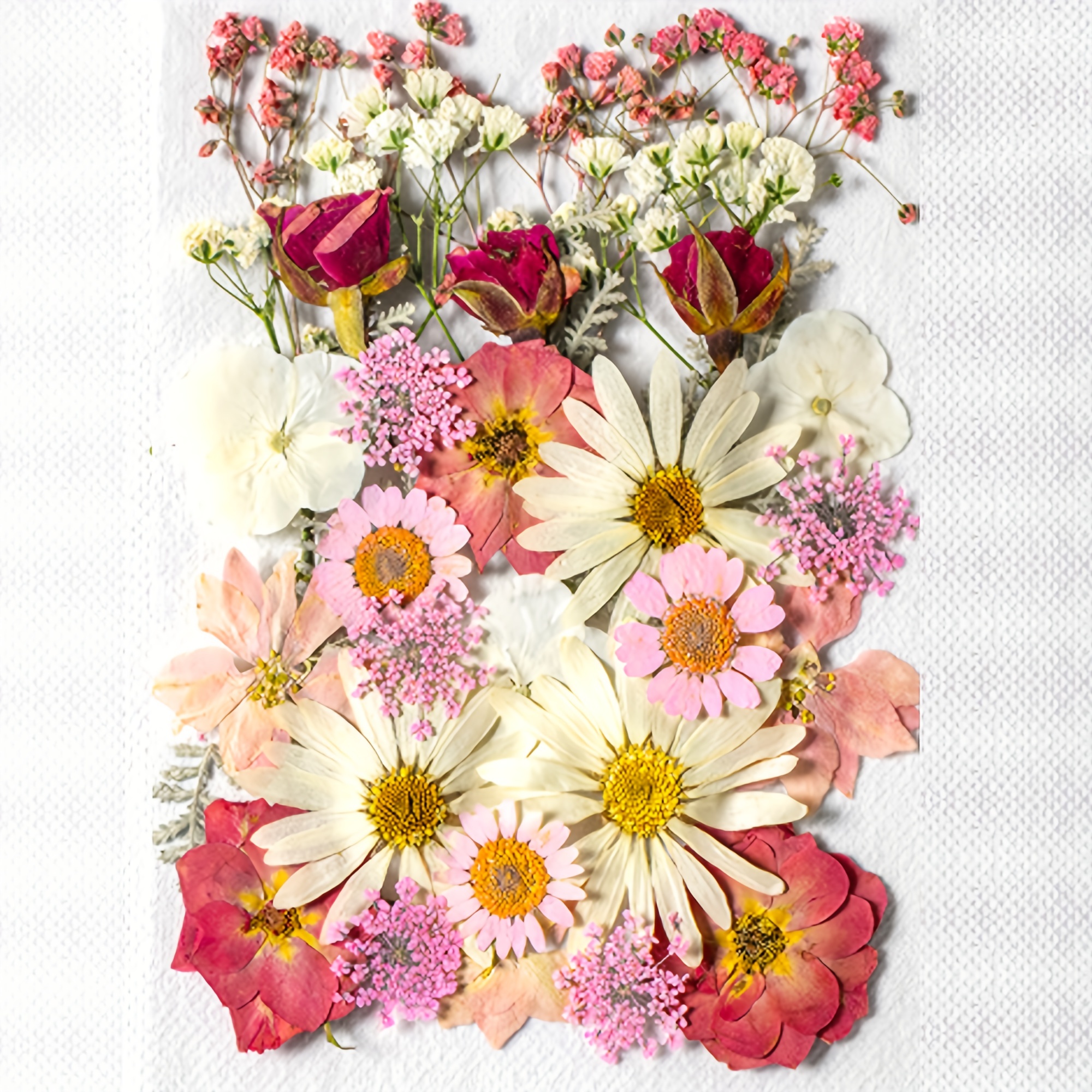 Mini Dried Pressed Flowers Kit Perfect For Diy Resin - Temu