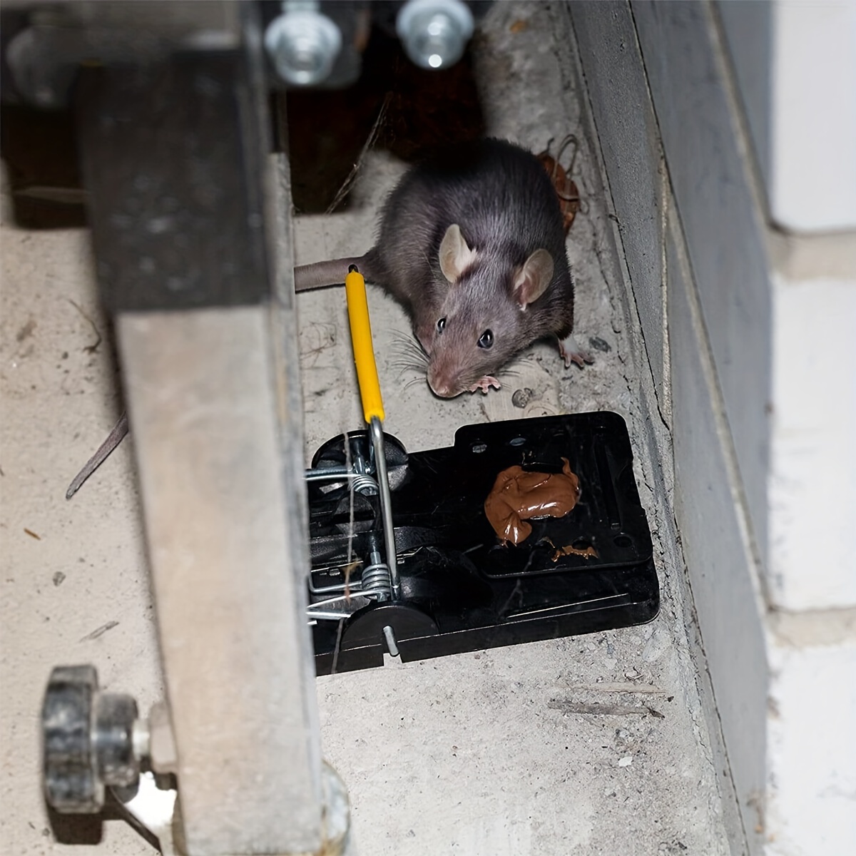 Mouse Trap Reusable Mice Rat Killer Pest Catching Tool Home - Temu