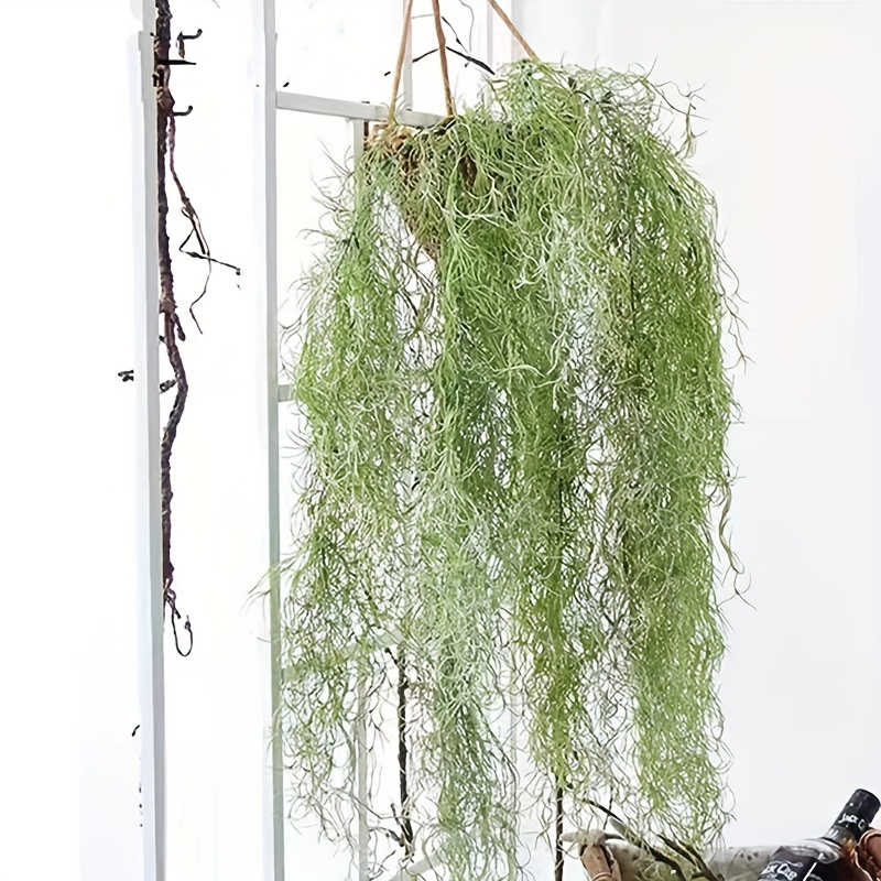 1pc, Fake Spanish Moss For Potted Plants 33.4 Inch, Artificial Hanging Moss  Garland, Faux Greenery Moss Plants For Crafts Planters Outdoor Indoor Spri