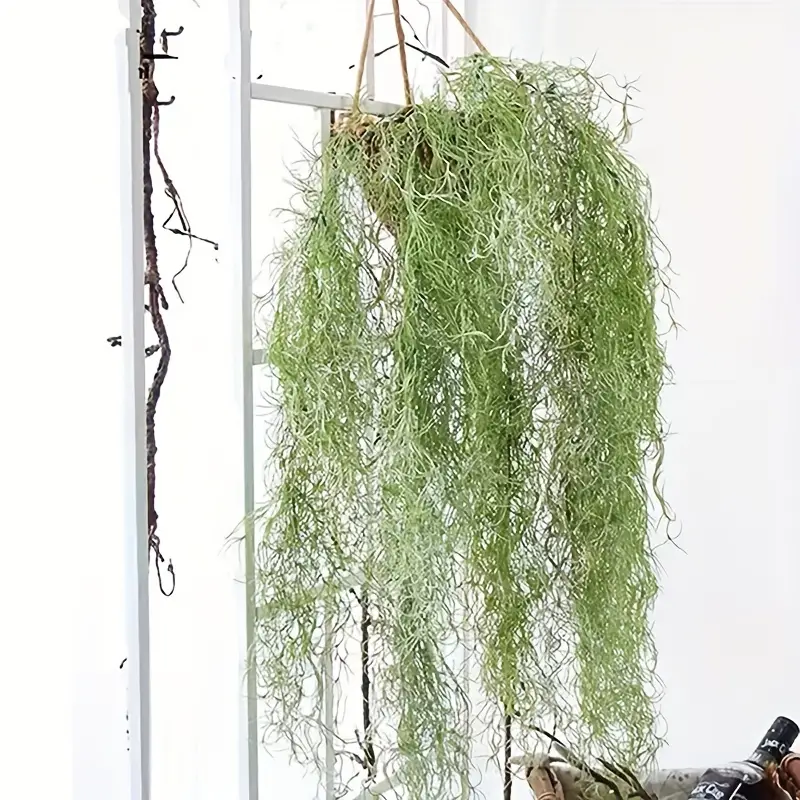 2Pcs 12 Forks Artificial Wall Hanging Plant Fake Spanish Moss