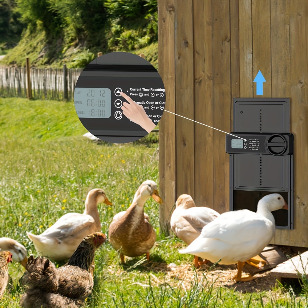 

1 Pack, Automatic Ducks Door Opener, Electric Ducks Door With Timer For Chicken Coops, Aluminum Chicken Coop Accessories Automatic Chicken Coop Door Opener For Garden Outdoor Animal Supplies (black)