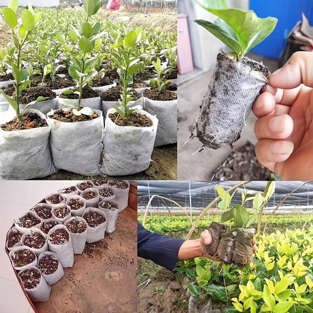 Biodegradable Seed Nursery Bags: Perfect For Home Garden Supply, Non-woven Plants  Grow Bags - Temu