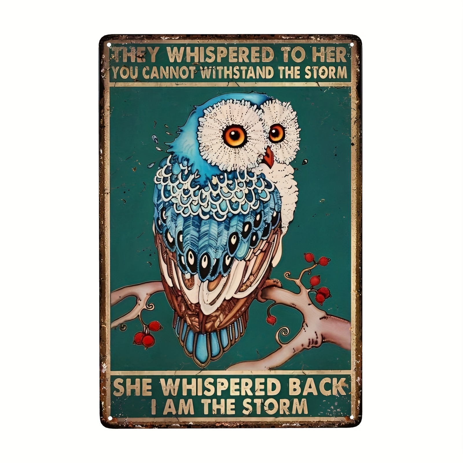  Wanted Owl Lady 8X12 Inch Metal Retro Look Decoration Poster  Sign for Home Kitchen Garden Garage Bar Pub Club Funny Wall Decor : Home &  Kitchen