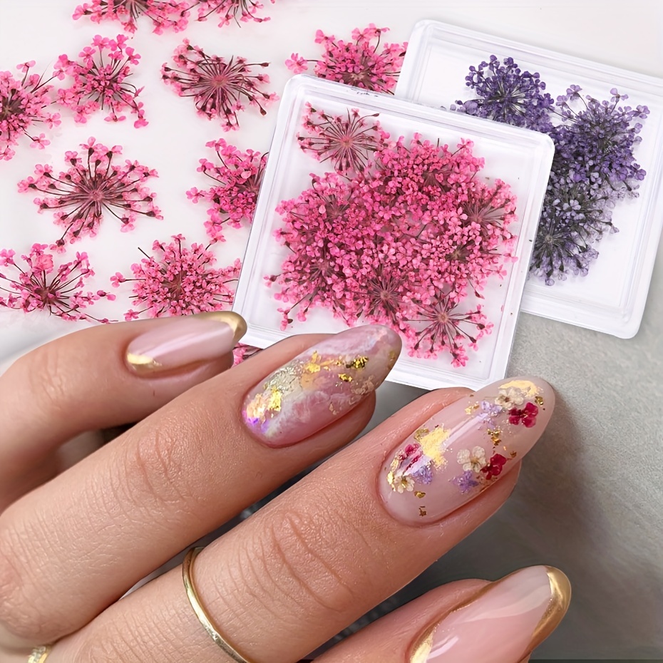 3D Nail Dried Flowers Sticker Set CHANGAR Real Dried Flowers for Nail Art &  Resin Craft DIY Five Petal Flower Leaf Gypsophila Dry Flower Nail Art  Decoration Kits(2 Boxes) - Yahoo Shopping