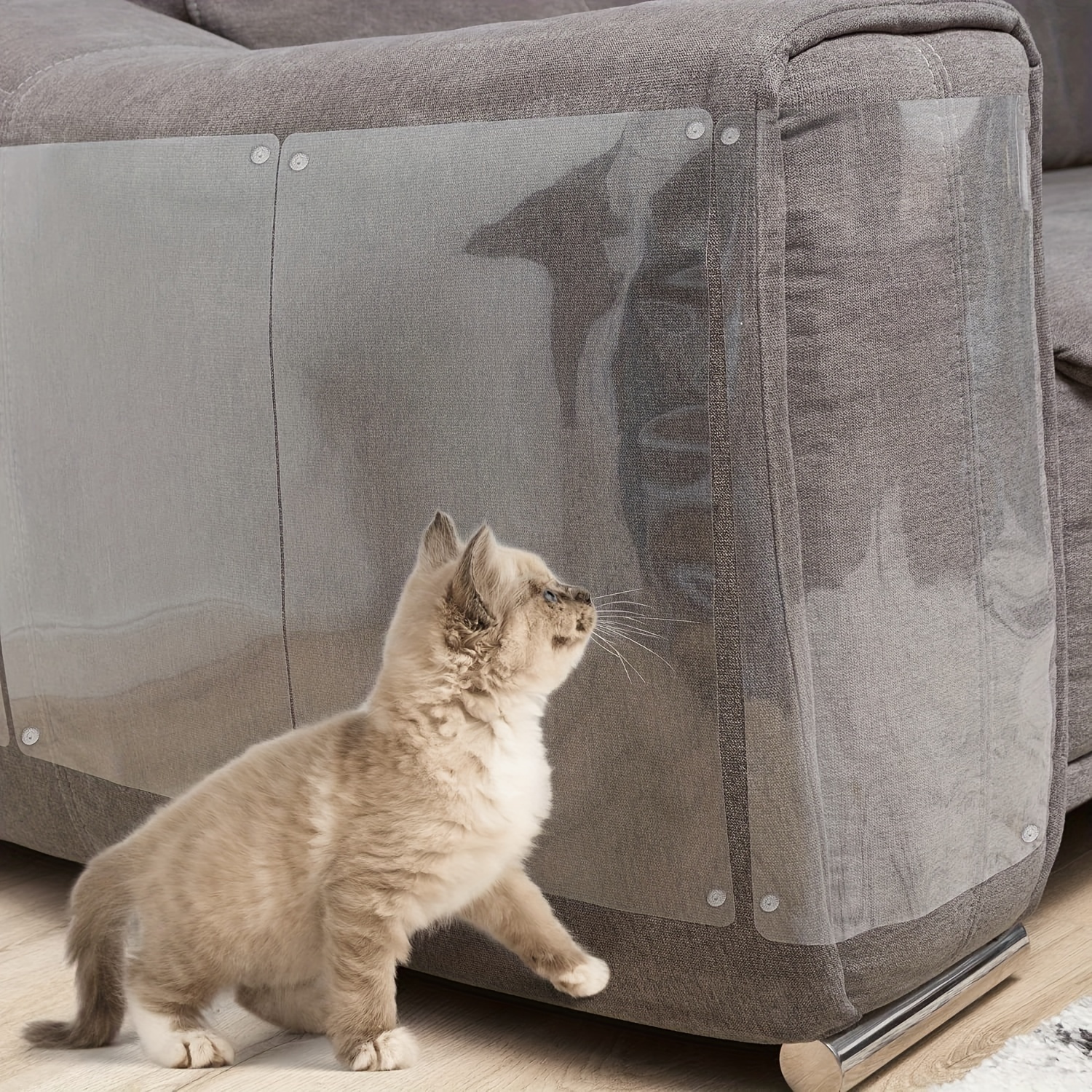 Scratch Guard Furniture