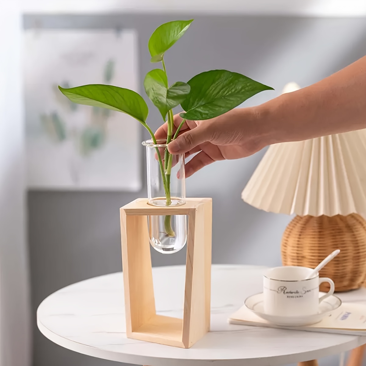 KWQBHW Vase tube à essai avec support en bois, 1 station de propagation en  verre transparent, vase à fleurs pour bureau, décoration d'intérieur :  : Cuisine et maison