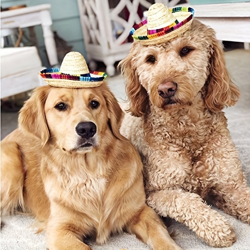 Adjustable Pet Sombrero Straw Hat For Summer Sun Protection - Temu