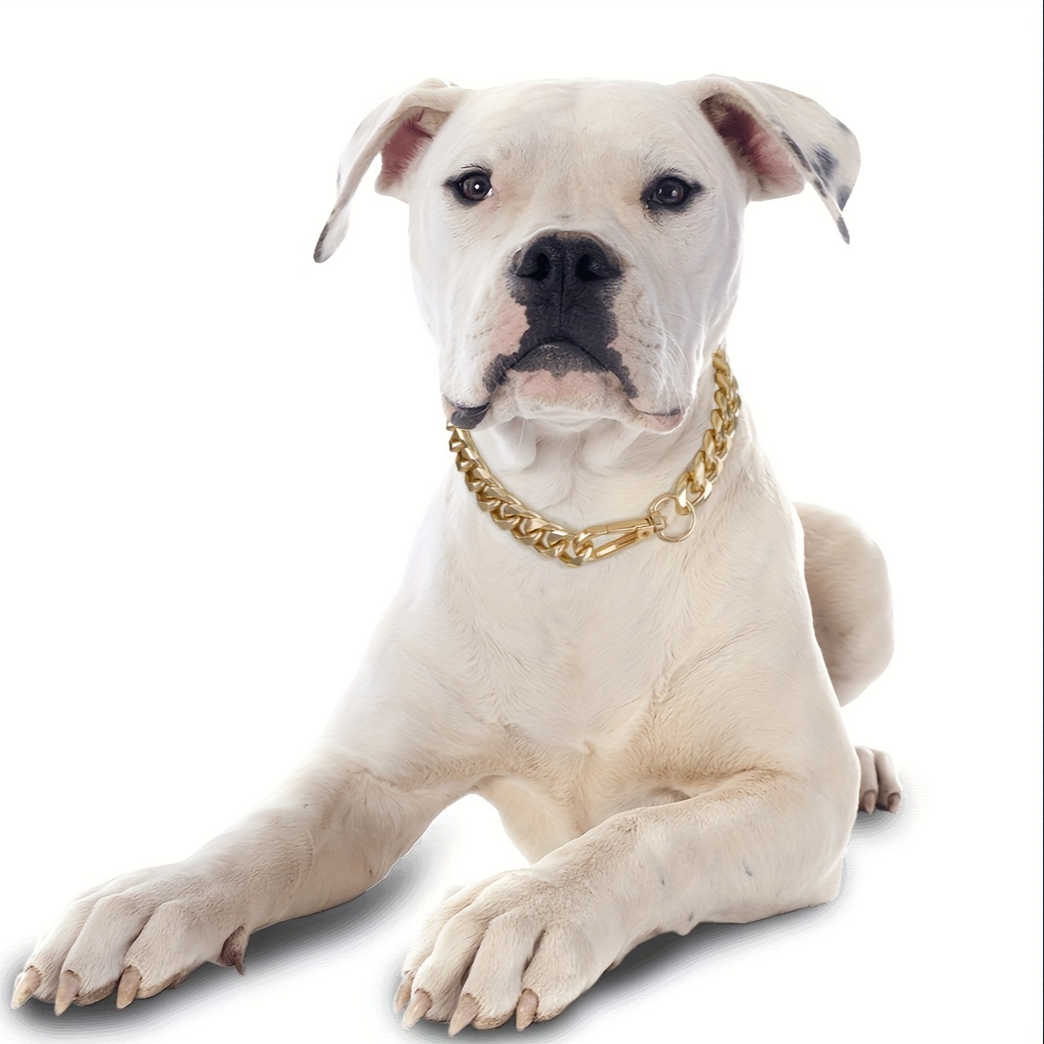 Pitbull dog sale necklace