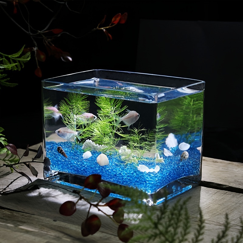 1pc Aquarium Moss Ball Holder, Aquarium Moss Ball Live Plants Shaping  Filter, Great Decor Ornaments For Aquarium Betta Fish Tank