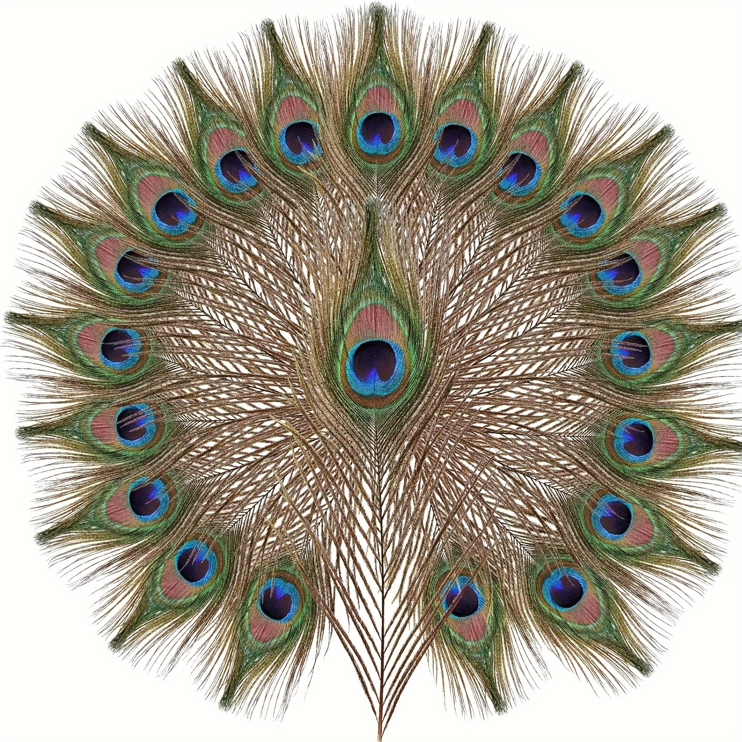 Natural Peacock Feather Bulk / Craft Vase Wedding Home Party - Temu