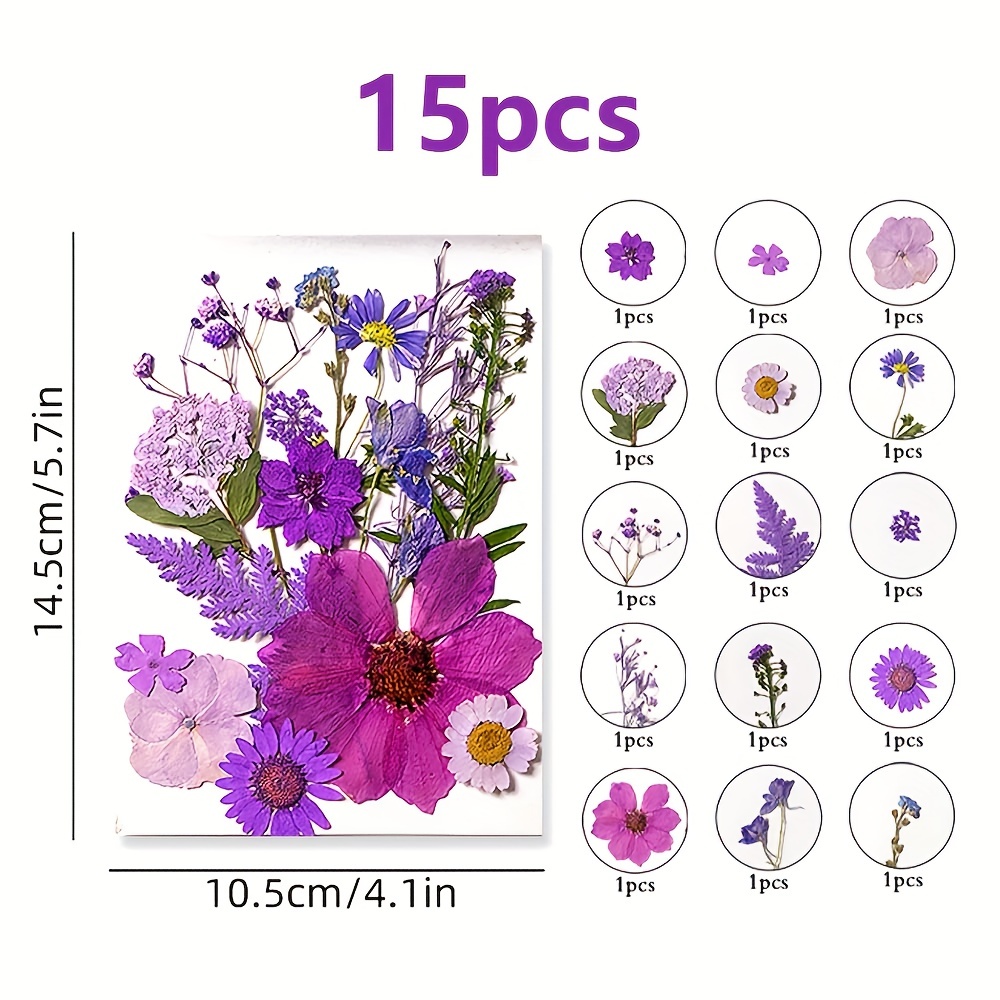 15pcs Blue, Purple, White dried pressed flowers crafts
