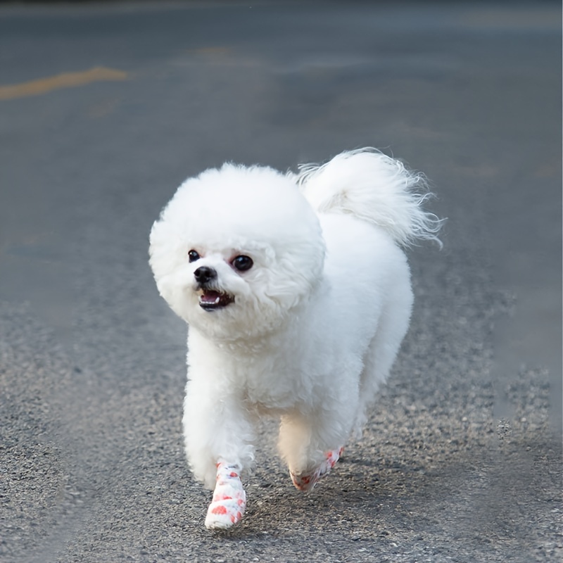 Disposable Dog Foot Cover Small Dog Pet Shoes Foot Bandage Temu