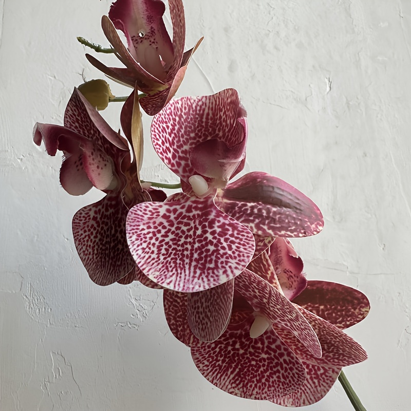 Phalaenopsis Orchidea Artificiale 80Cm Con Vaso Quadrato Arancione Fiori  Piante Artificiali - Peragashop - Idee regalo