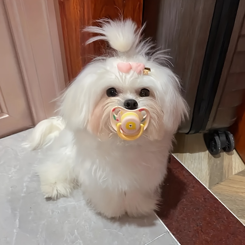 Dog pacifier outlet