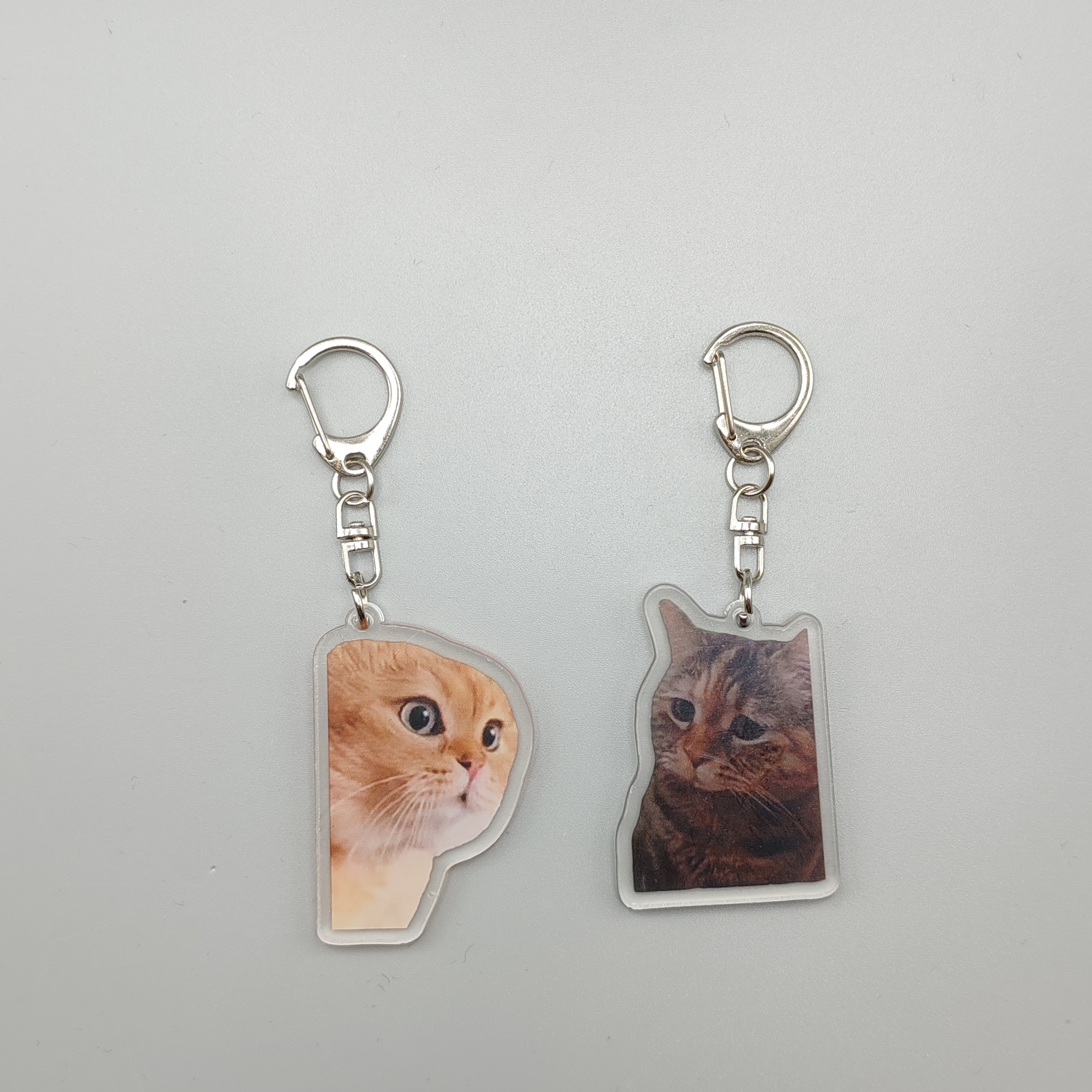 1pc Cat Trends Trendy Keyring For Men, Two Cats Talking Keyring, Cute Cat  Keychain, Fun Gift For Friend