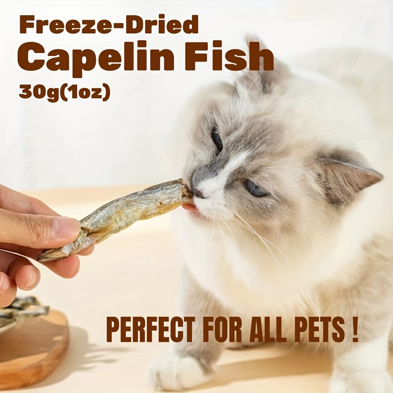 Freeze dried fish outlet for dogs