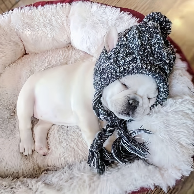 Winter Dog Cap, Winter Hats Small Dogs, Dog Winter Hats Pets