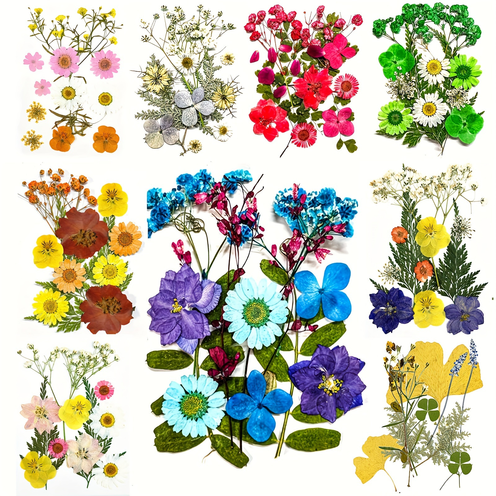 9 Types Real Dried Pressed Flowers Leaf Plant Herbarium For DIY Resin Jewelry Making Floral Decors(Colorful)