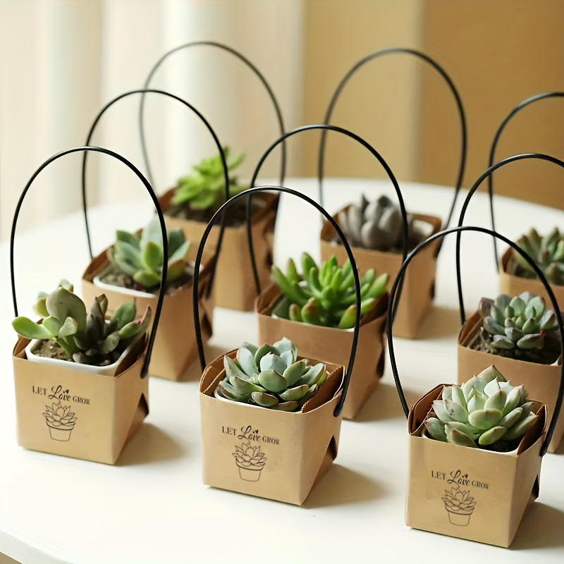 

40pcs 'let ' Mini Succulent Gift Set - Perfect For Teacher Appreciation, Thanksgiving & More - Creative Kraft Paper Boxes With Handles For 2" Decorative Favors