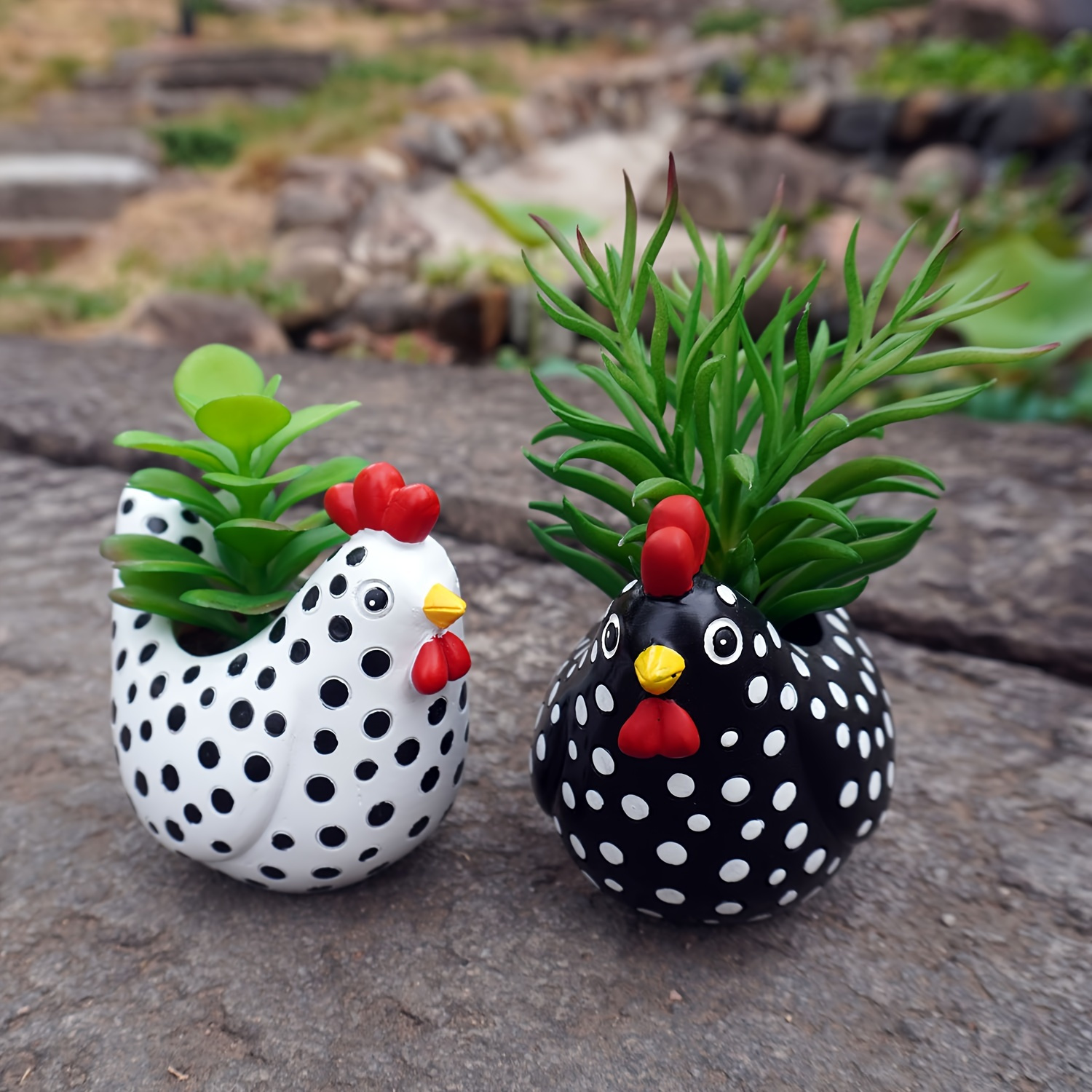 

- For Succulents, & Decor, ,
