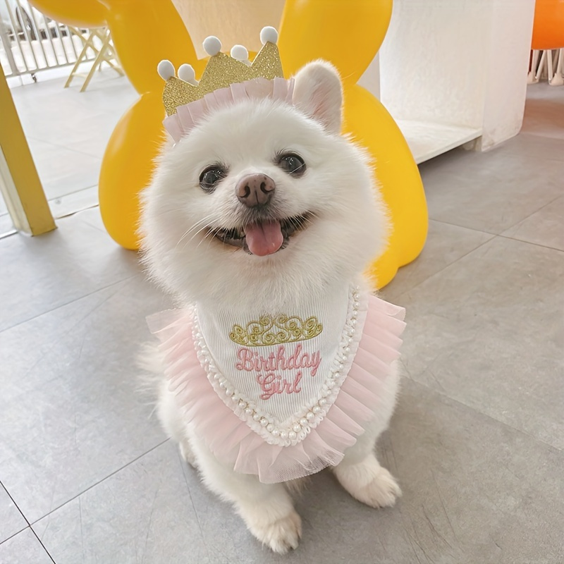 

Luxury Pet Party Crown Set, Pet Triangle Towel And Crown With Romantic Mesh Decor