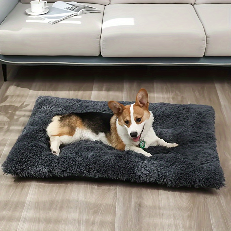 Cat Mat For Sleeping Pet Floor Mats For All Seasons Dog - Temu