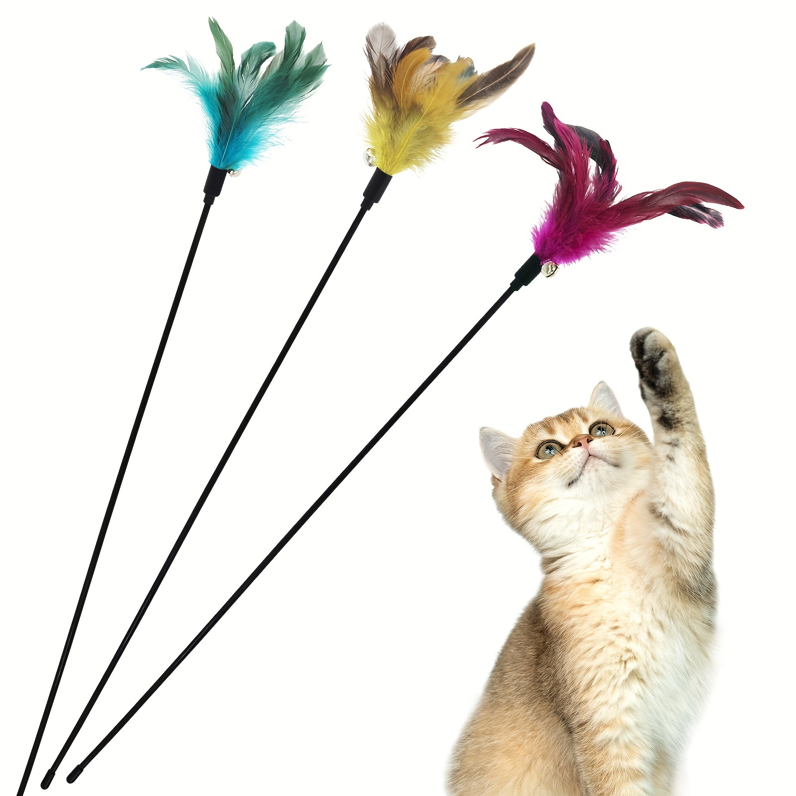 Cat Toys Set Retractable Wand Toy Assorted Varieties Feather - Temu Canada