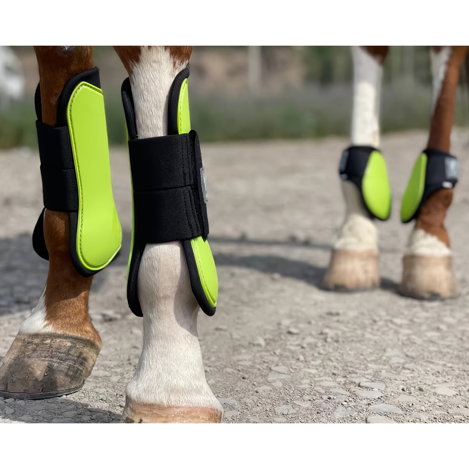Bottes à Brosser Néoprène Shires ARMA Pour Cheval - Blanc, Taille COB