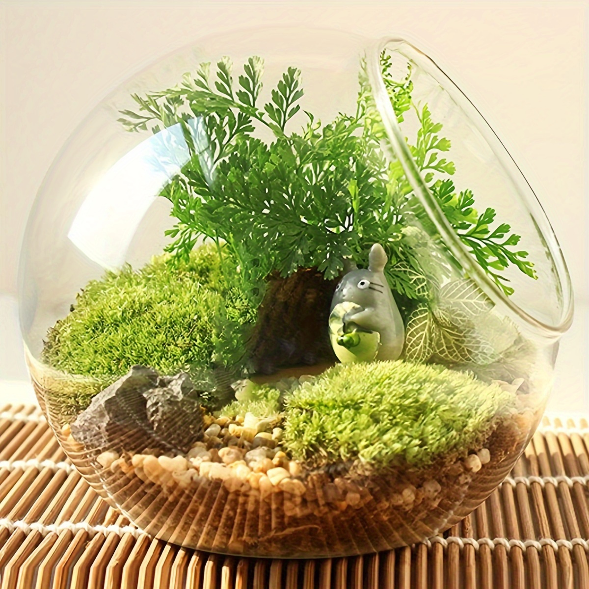 Terrarium Accessories - Temu Malaysia