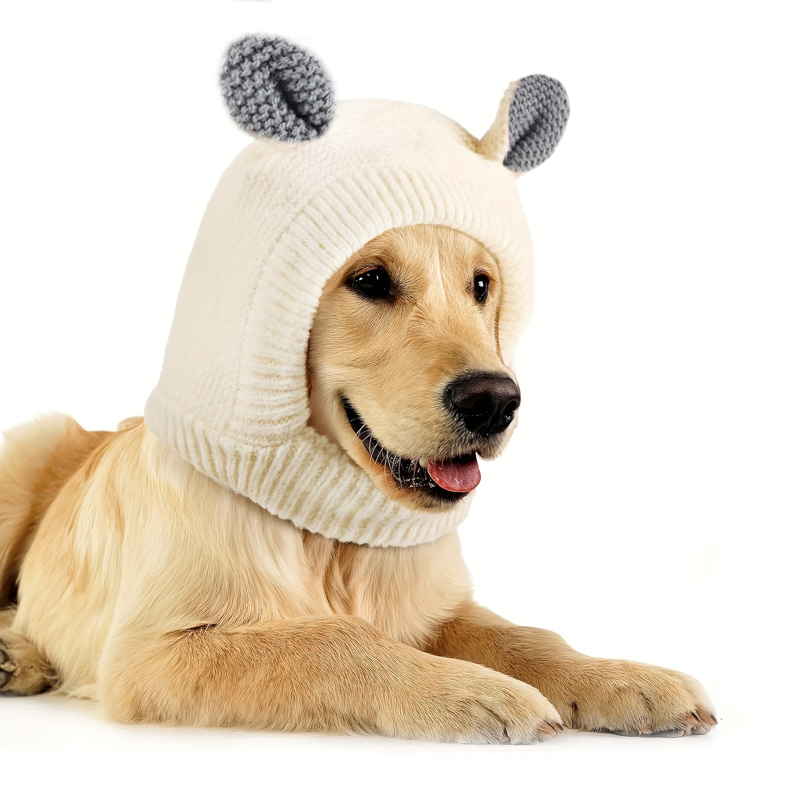 Windproof Winter Warm Knitted Pet Dogs Hats Funny Cat Dog Clothes - China  Pet Hat and Pet Cap price
