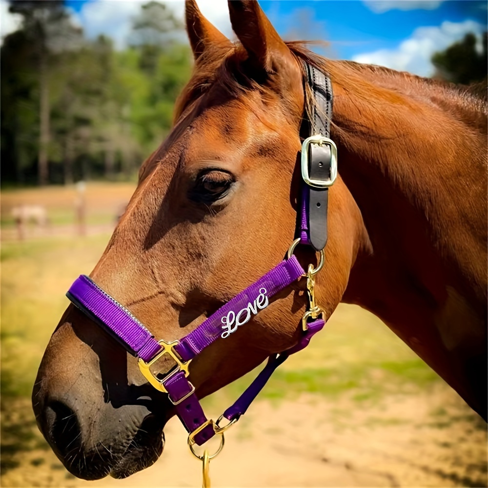 

Engraved Nameplate Keychain, Personalized Tag For And , Steel Id Tag - For And Dog Collars