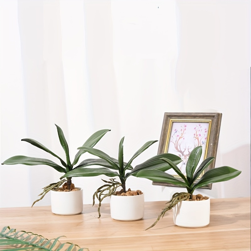 Artificial Phalaenopsis Orchid Leaves Real Touch Plants For - Temu