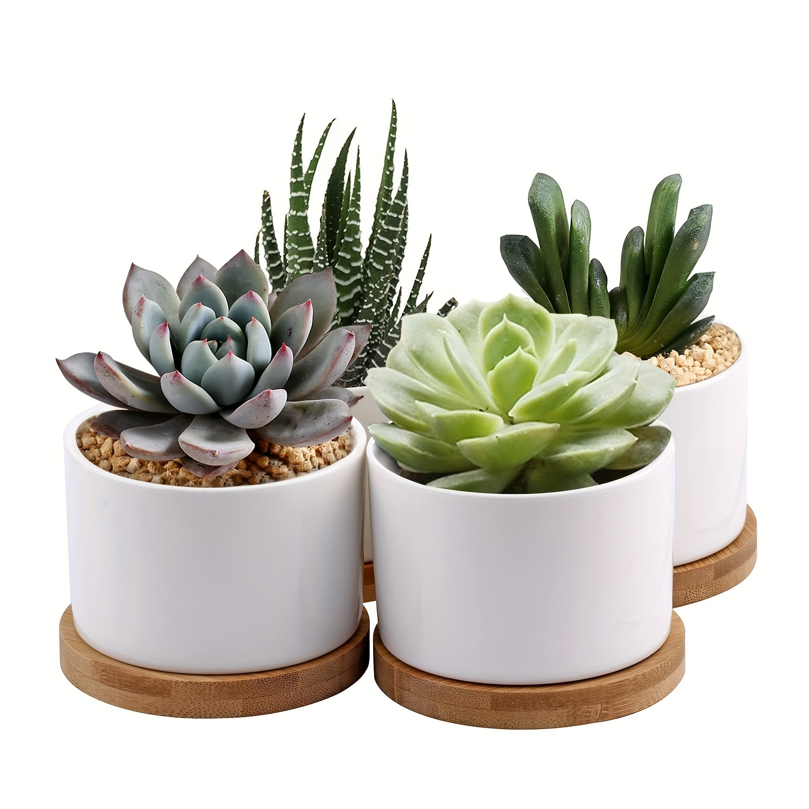 

4 Packs, Succulent Planter, White Mini 3.15 Inch Ceramic Flower Planter Pot With Bamboo Tray, Plants Not Included